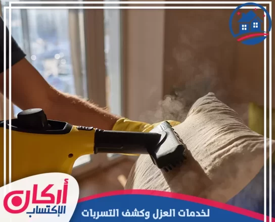شركة تنظيف في العين