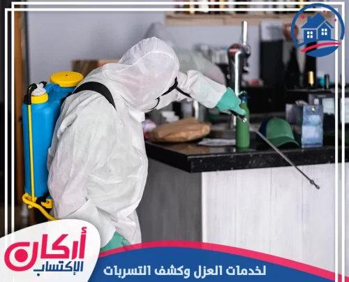 شركة مكافحة حشرات في عجمان 0565009828 مكافحة الوزغ فني يعقم منطقة المطبخ برش آمن يصل للزوايا ومناطق التجمع