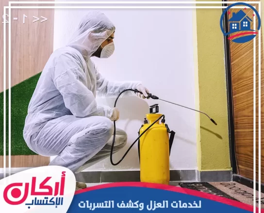 شركة مكافحة حشرات في العين
