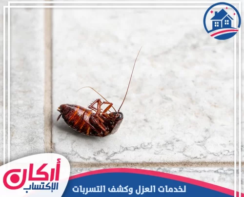 مكافحة صراصير في العين