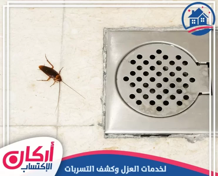 شركة مكافحة صراصير في العين