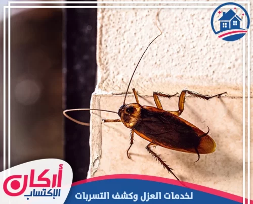 اسعار شركة مكافحة صراصير بالعين