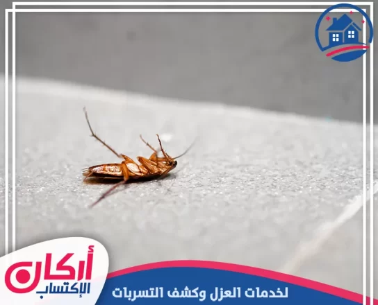 أسباب ظهور حشرات غريبة في البيت