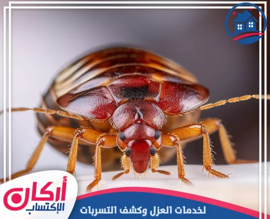 كيف تعرف وجود بق الفراش؟