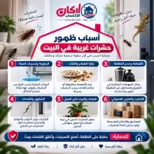 أسباب ظهور حشرات غريبة في البيت