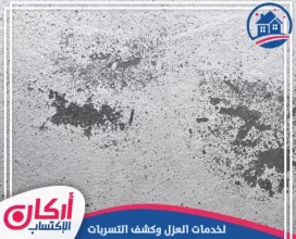شركة معالجة الرطوبة في الامارات